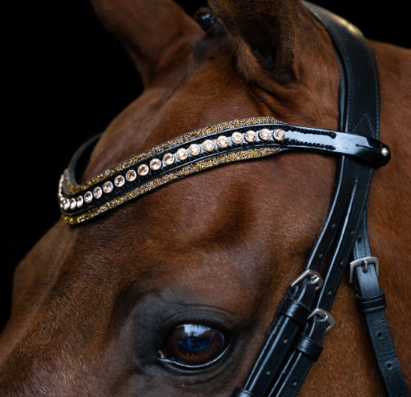 Browband IRHMaxima - Multiple Colors