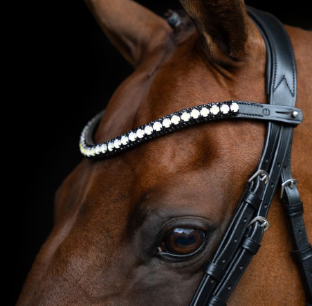 Browband IRHMaxima - Multiple Colors