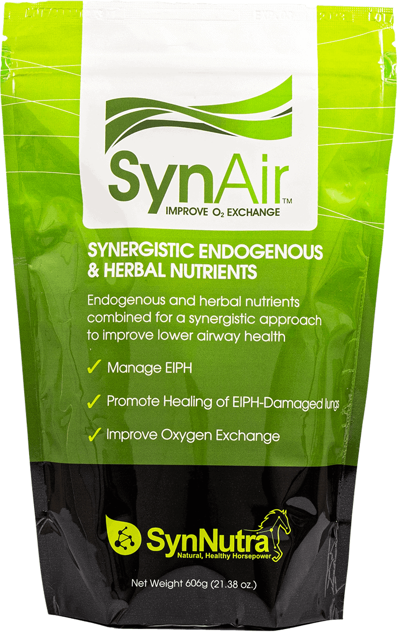 SynAir- EIPH (Bleeding) Management For Horses - 30 servings