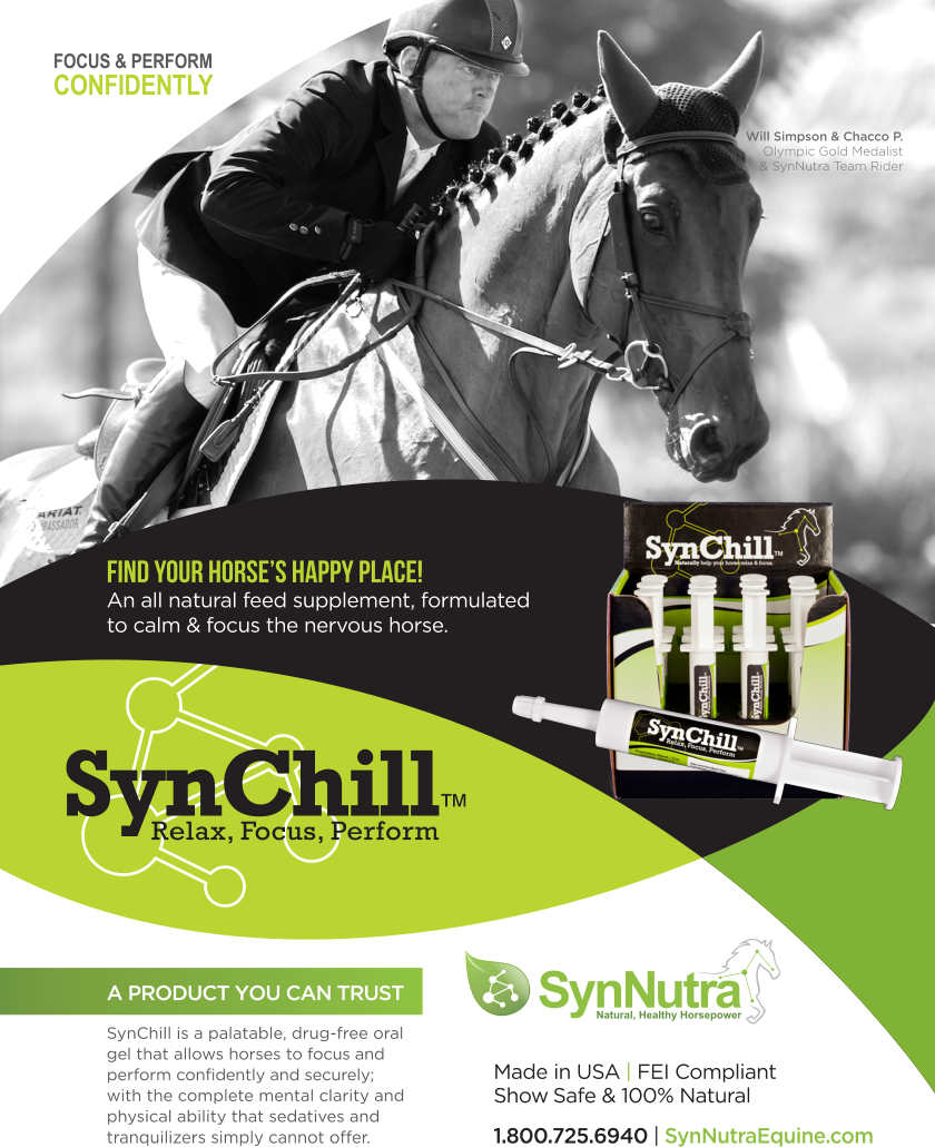 SynChill – Calming Gel for the Nervous Horse - Single Syringe/Tube