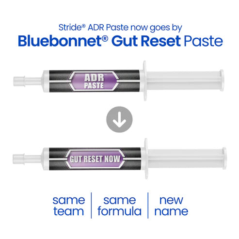 Bluebonnet - Gut Reset™ Paste (ADR Paste)