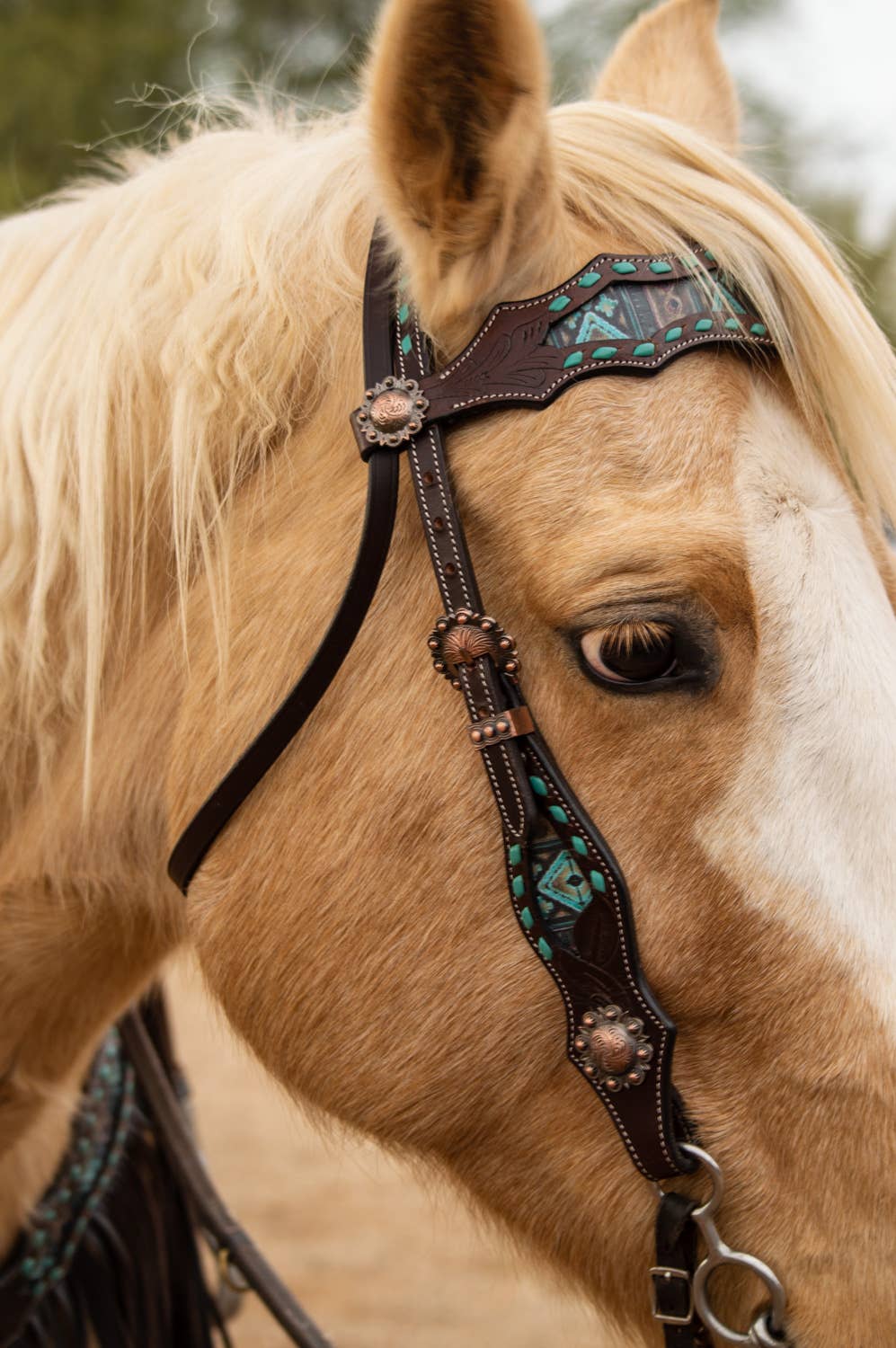 Maverick Fringe Headstall and Breast Collar Set