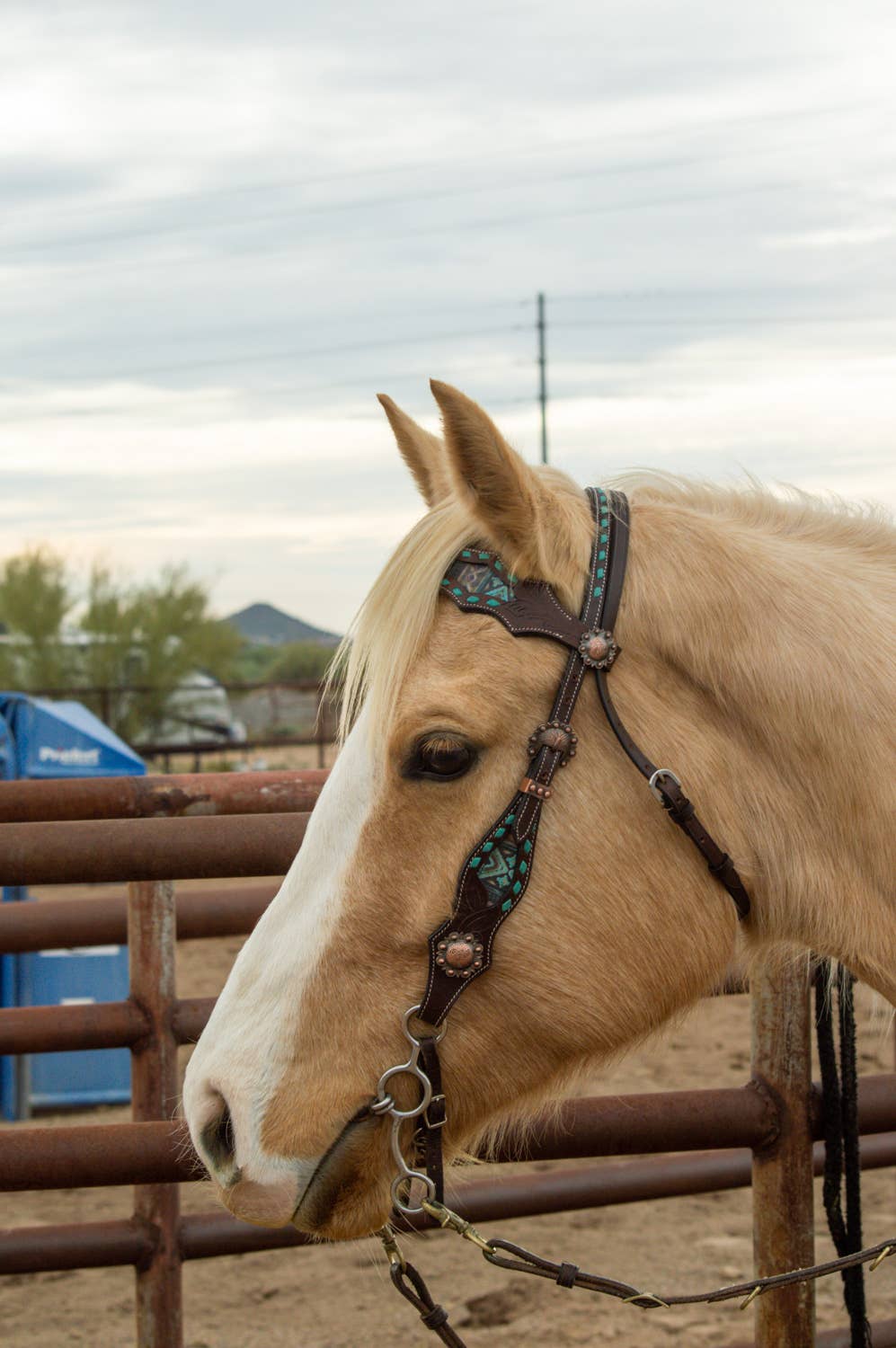 Maverick Fringe Headstall and Breast Collar Set