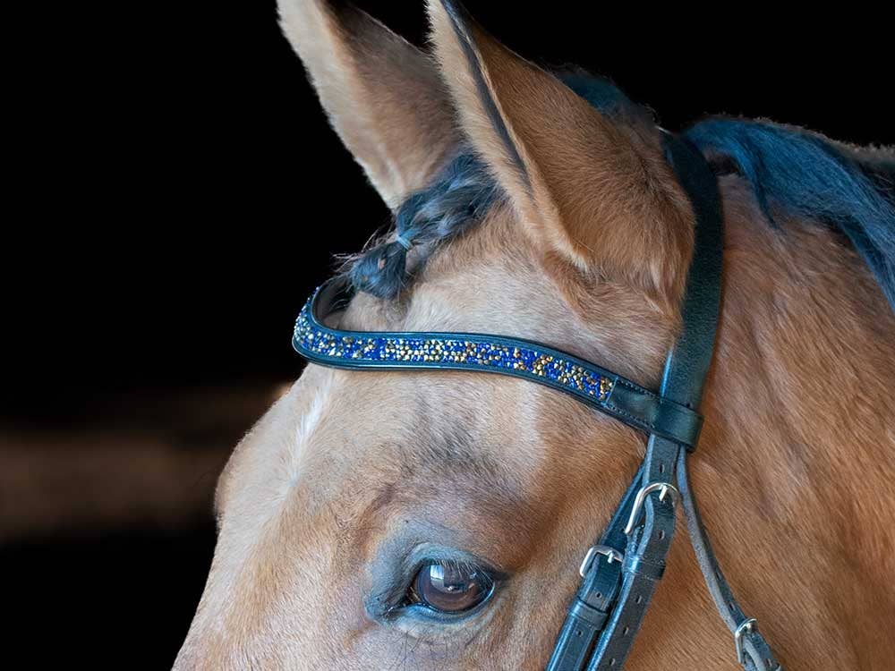 Grewal Equestrian Midsummer Browband
