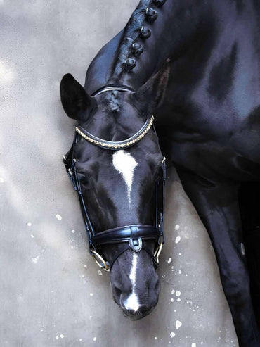 Bridle "Cookie" on Italian leather and European crystals