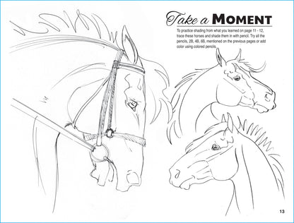 Art Book Horse Equestrian / Anyone Can Draw Horses / All age