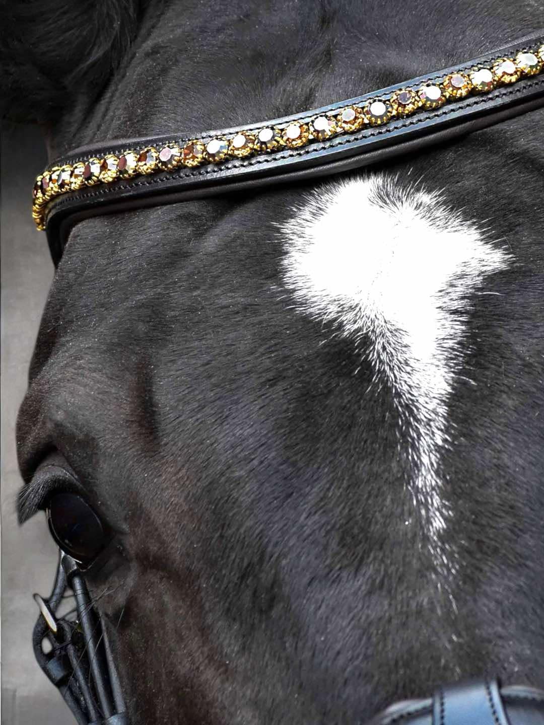 Bridle "Cookie" on italian leather and european crystals