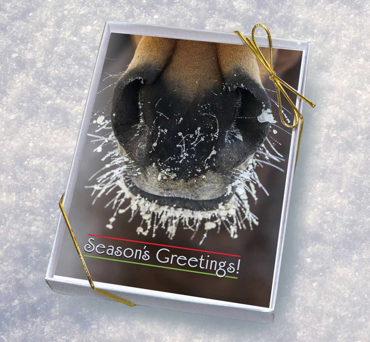 Horse Boxed Christmas Cards | Frosty Muzzle | 8 Holiday