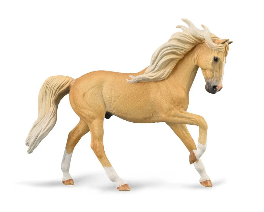 Andalusian Stallion | Palomino