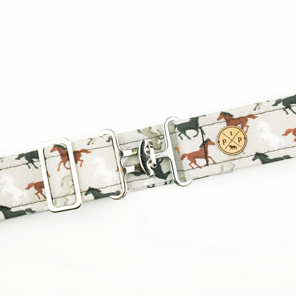 The Posh Pony Belts