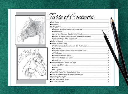 Art Book Horse Equestrian / Anyone Can Draw Horses / All age