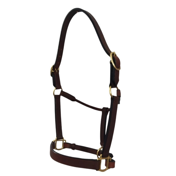 Deluxe Leather Halter, Double Buckles, Polished Brass Hardware