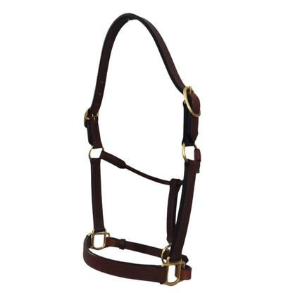 Deluxe Leather Halter, Double Buckles, Polished Brass Hardware