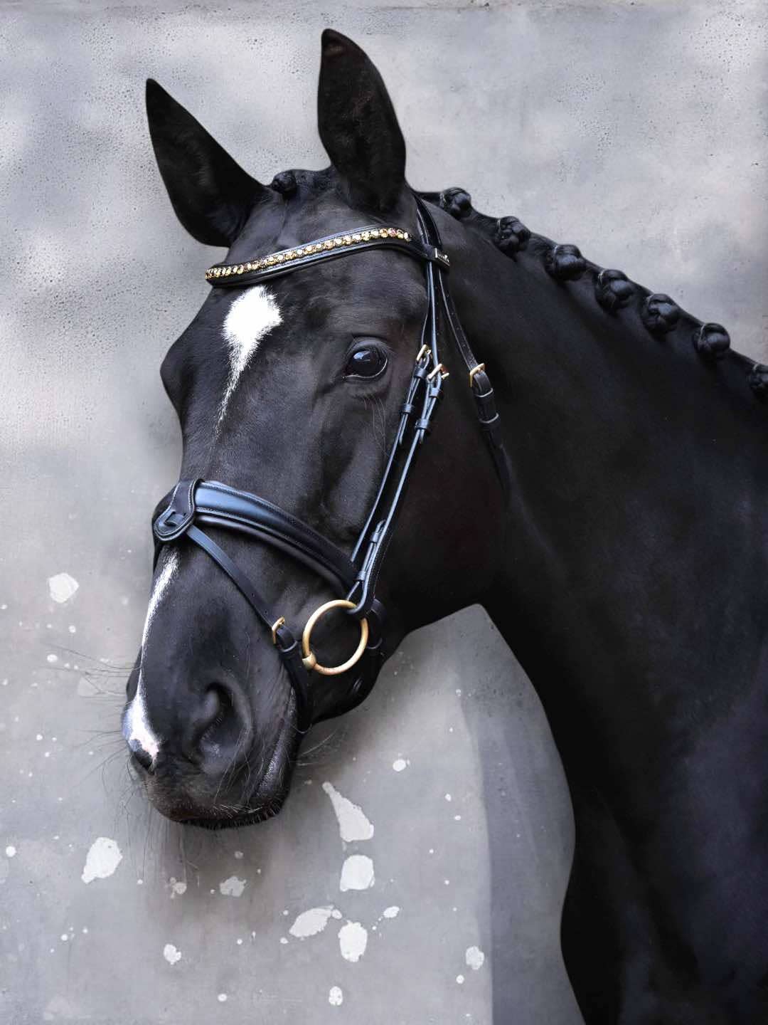 Bridle "Cookie" on italian leather and european crystals