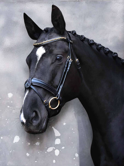 Bridle "Cookie" on Italian leather and European crystals