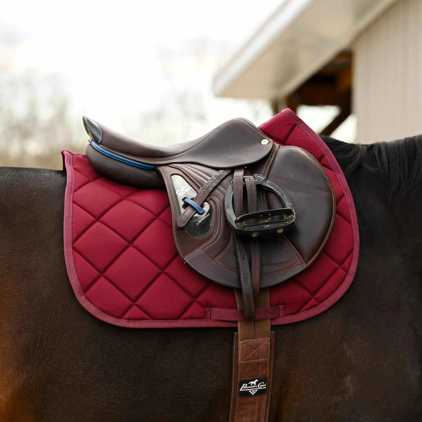 Dreamers & Schemers Saddle Pad