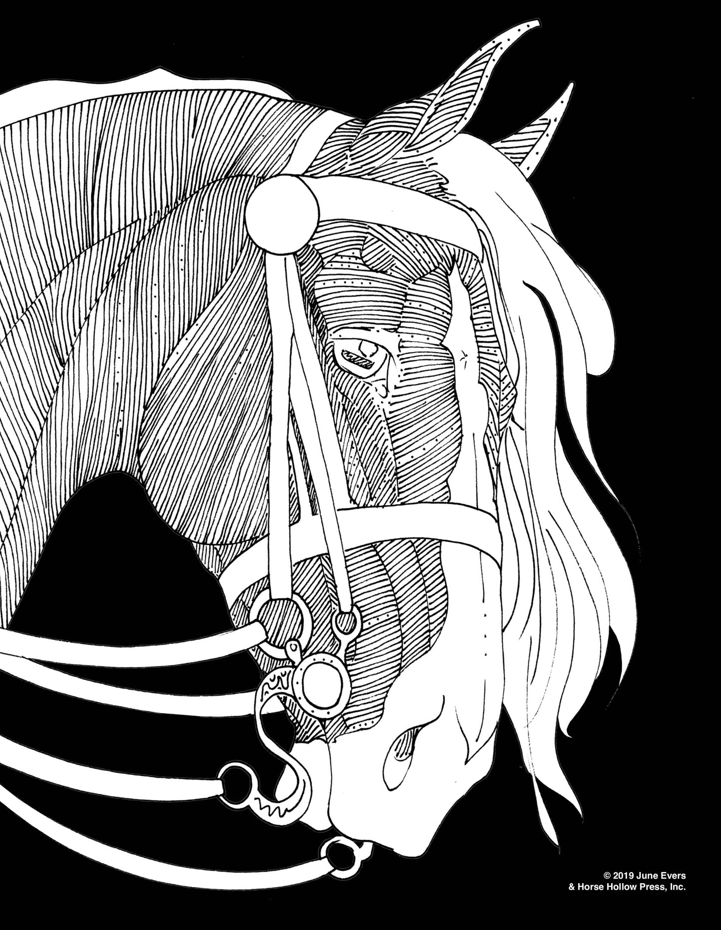 Pretty Horses Kit / 6 Drawings to Color / 24-Colored Pencils