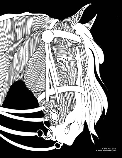 Pretty Horses Kit / 6 Drawings to Color / 24-Colored Pencils
