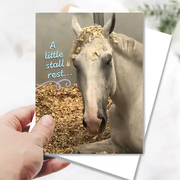 Horse Get Well Card