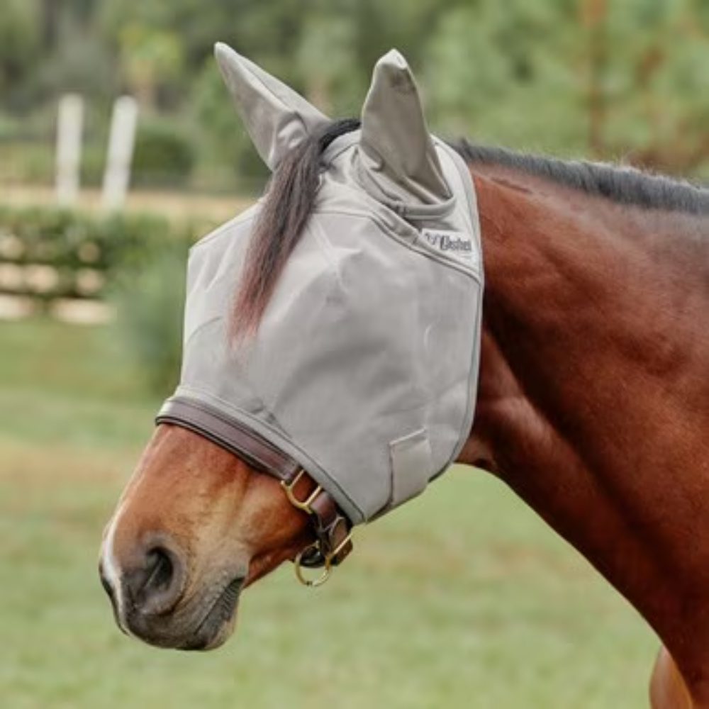 Crusader Fly Mask - Standard with Ears