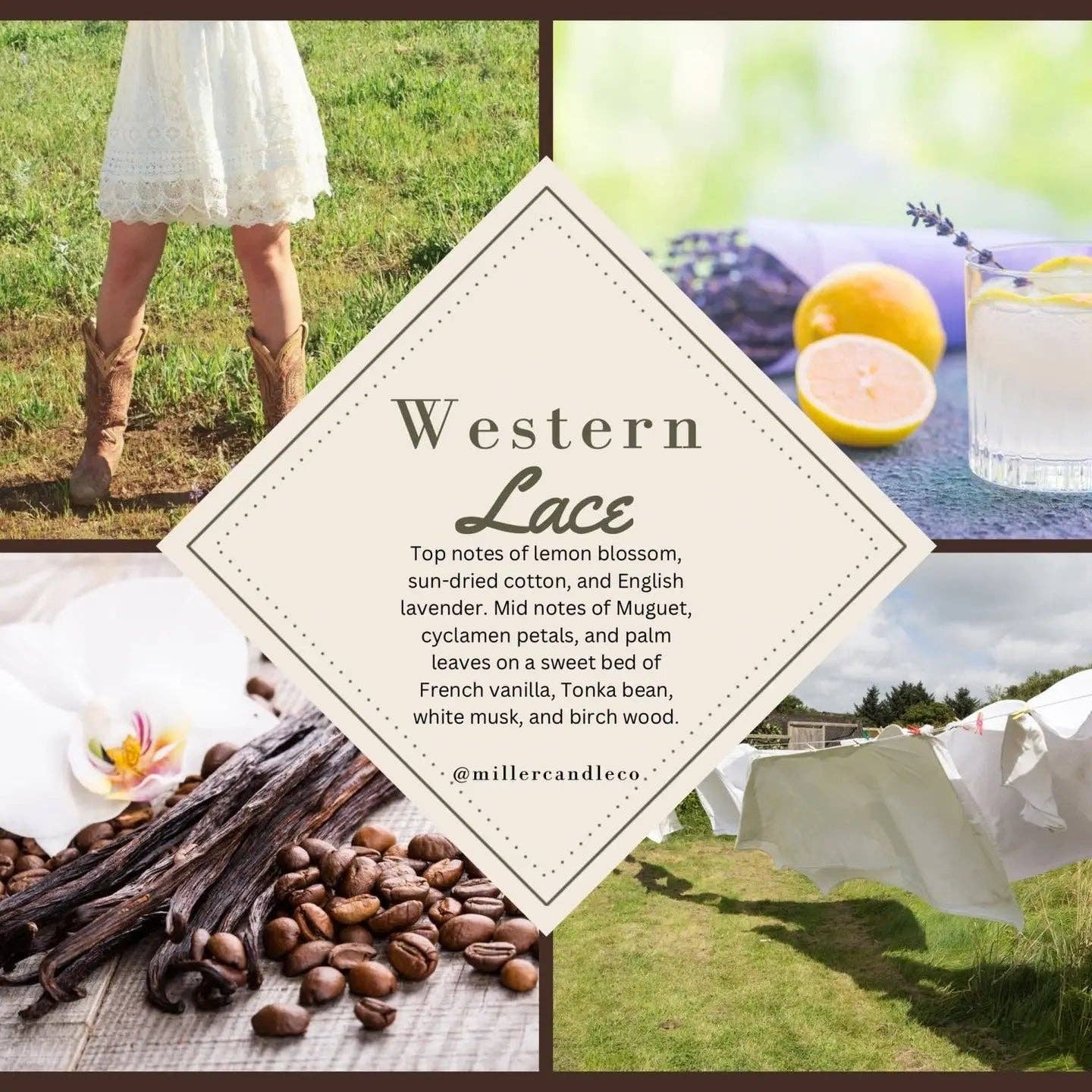 Western Lace Goat Milk & Honey Soap