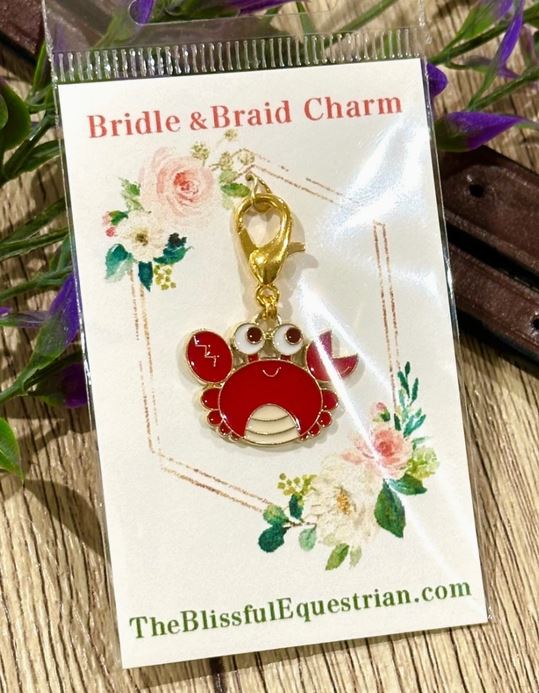 Bridle Braid Charms