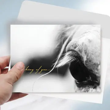 Horse Sympathy Greeting Card