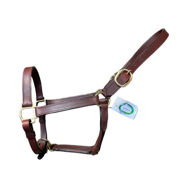 Deluxe Leather Halter, Double Buckles, Polished Brass Hardware