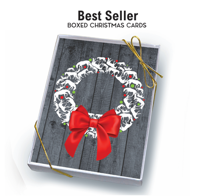 Horse Boxed Christmas Cards / Western Horse / 8 Holiday
