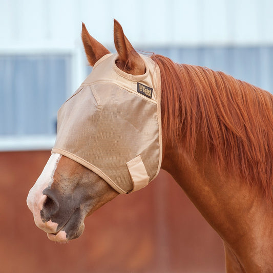 Econo Fly Mask