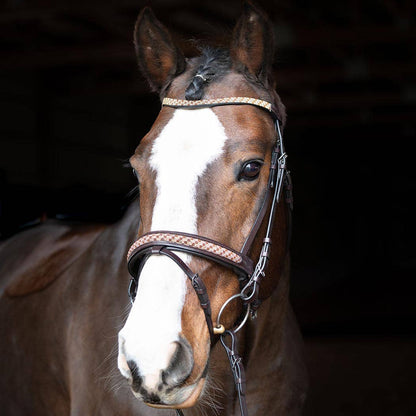 Bonn Crank - Leather Dressage Horse Bridle With Flash