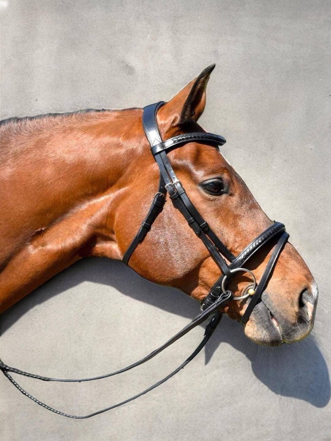 Bridle with classic braided details - European leather