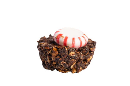 ClintRMint Holiday Gift Box of Horse Treats