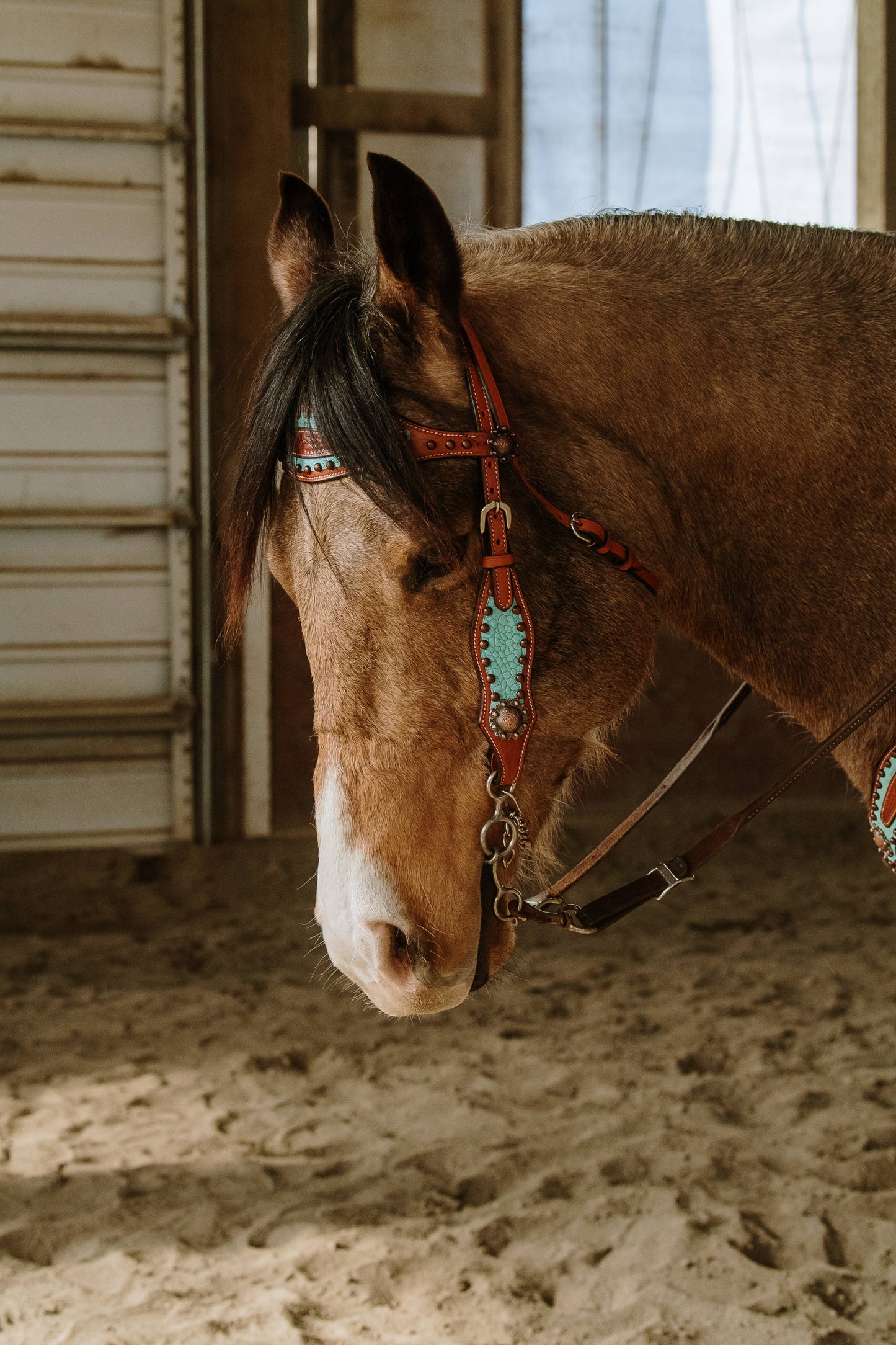 Annie Oakley Headstall and Breast Collar Set