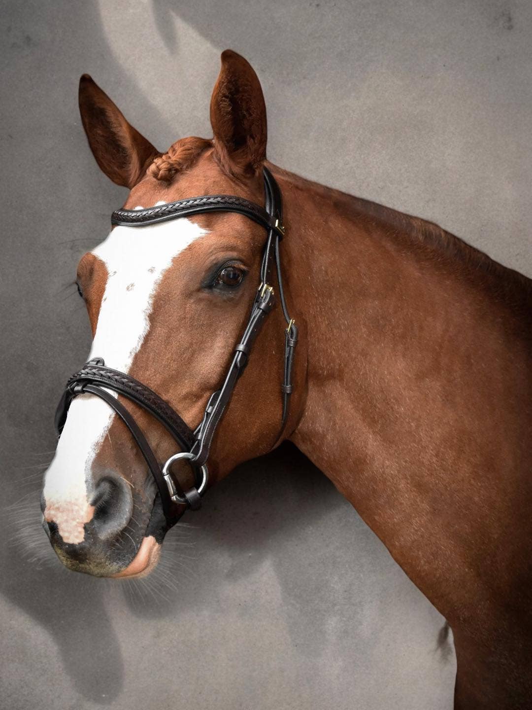 Bridle with classic braided details - European leather