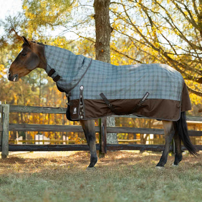 Equinavia Arktis Regular Neck Light Weight Turnout Blanket 100g - Dark Brown/Thyme
