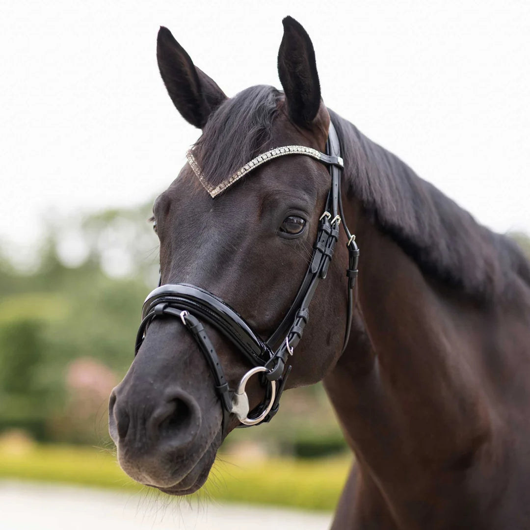 Horze Grayson Classic Dressage Ergonomic Bridle - Black