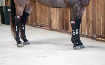 XLR8 Equine G-Force