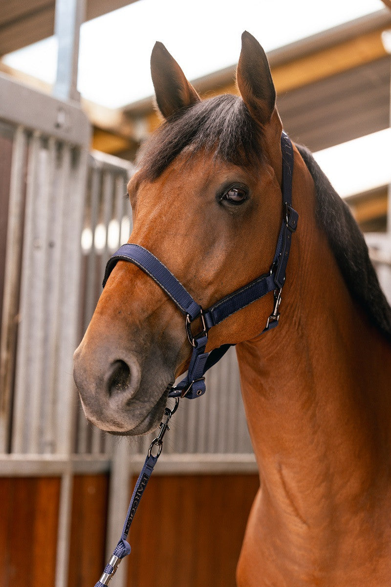 Hansey Horse Halter with Lead Rope