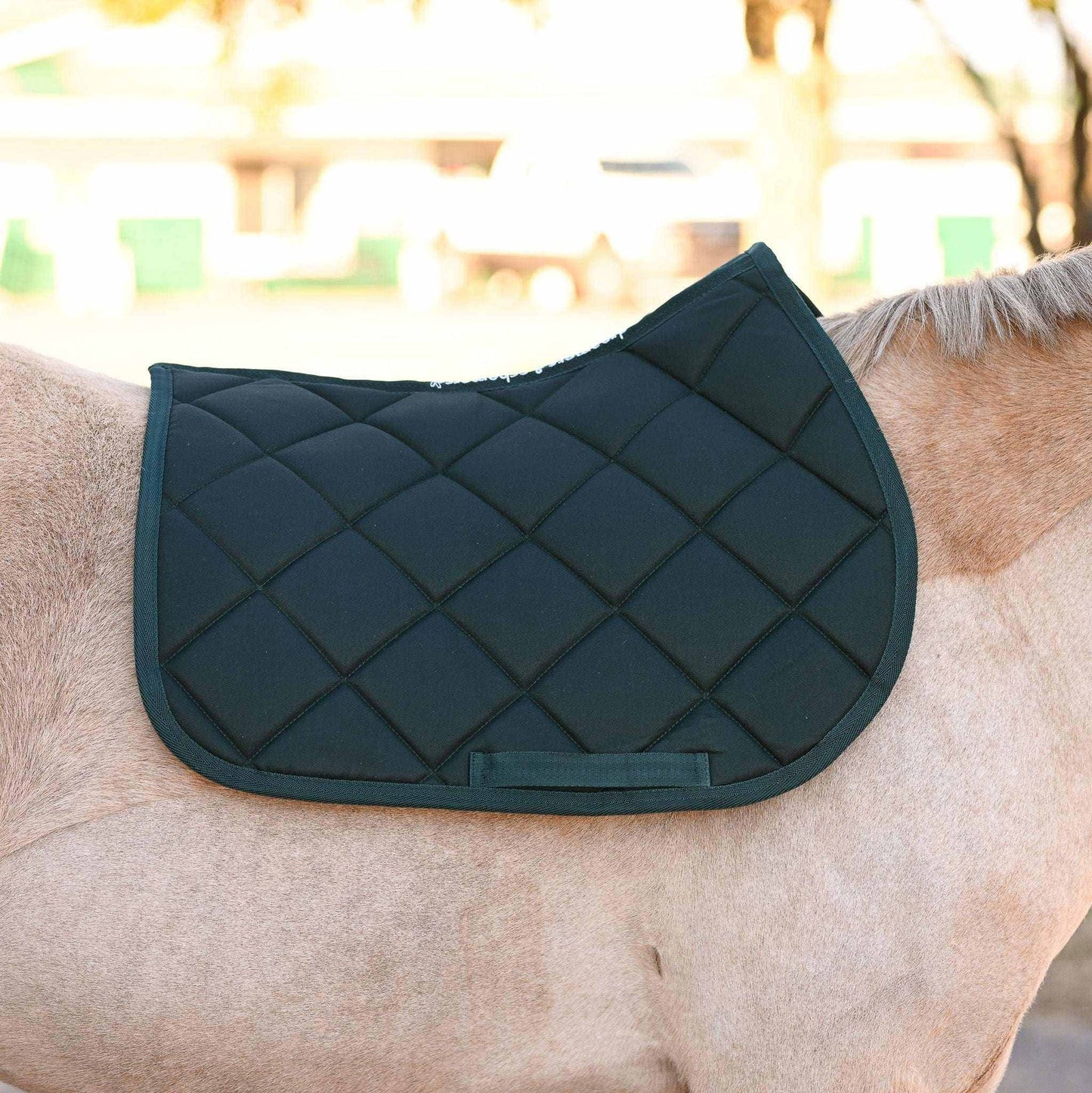 Dreamers & Schemers Saddle Pad