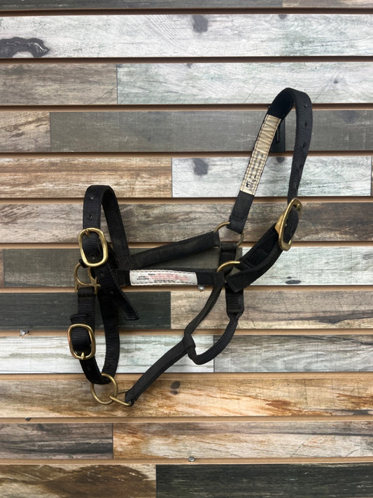 USED Monty Roberts Training Halter Horse Black