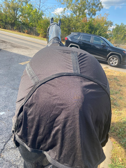 USED Back On Track Mesh Therapy Sheet 72” Black