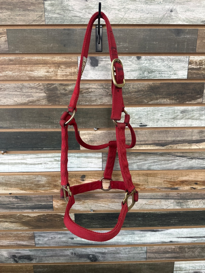 USED Large Red Halter