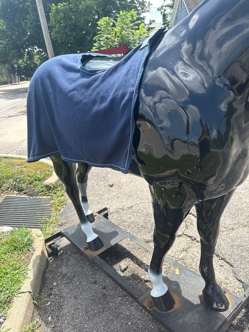 USED Riders International Quarter Sheet One Size Navy