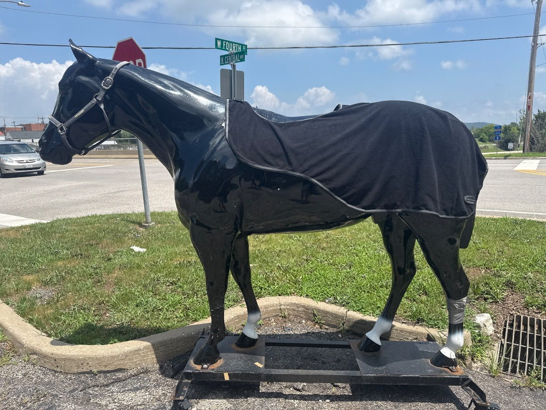 USED Weatherbeeta Quarter Sheet Full Black