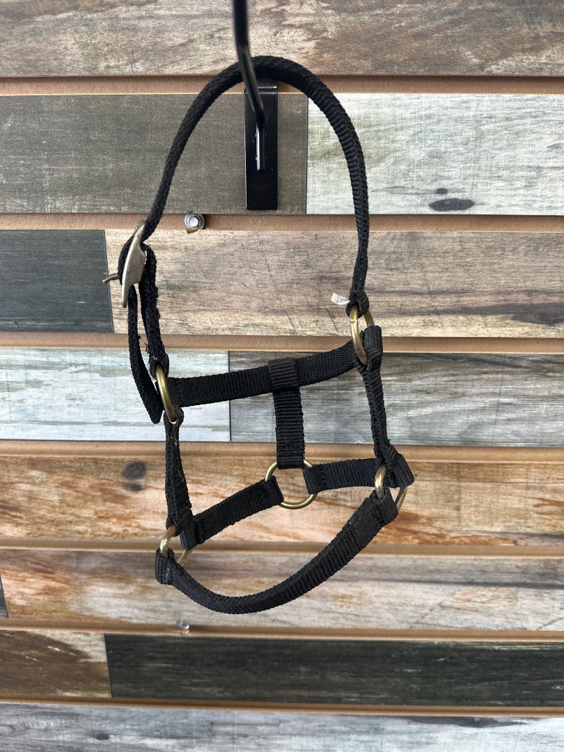 USED Black XS Mini/Foal Halter