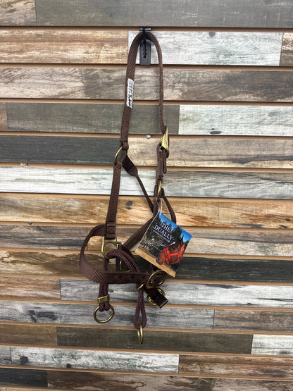 USED  The Daully Schooling Halter Horse