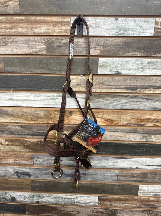 USED  The Daully Schooling Halter Horse