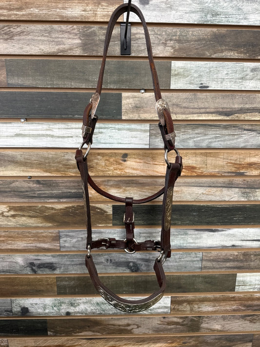 USED Royal King Show Halter Horse Deep Oil