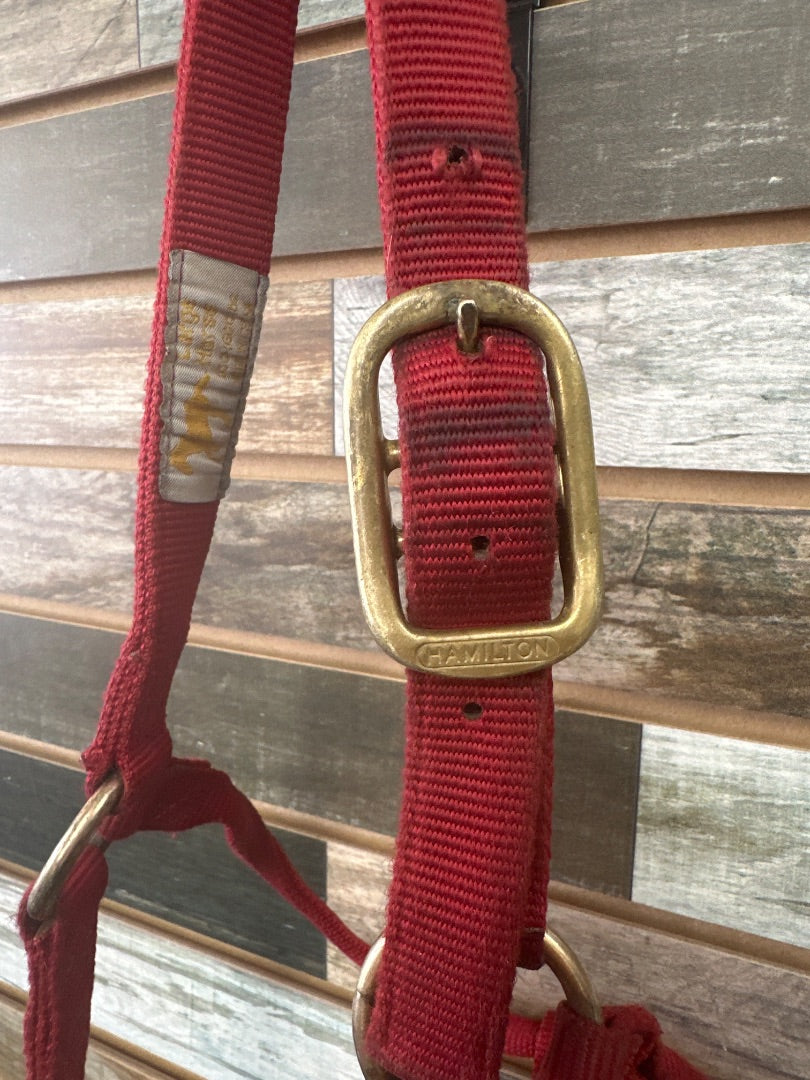 USED Large Red Halter